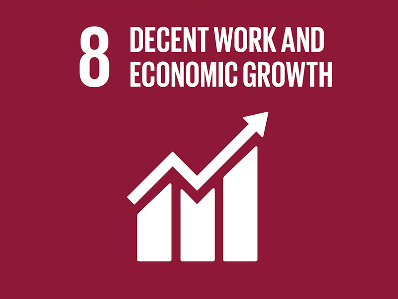 SDG Goals | Goal 8 : Decent Work and Economic growth